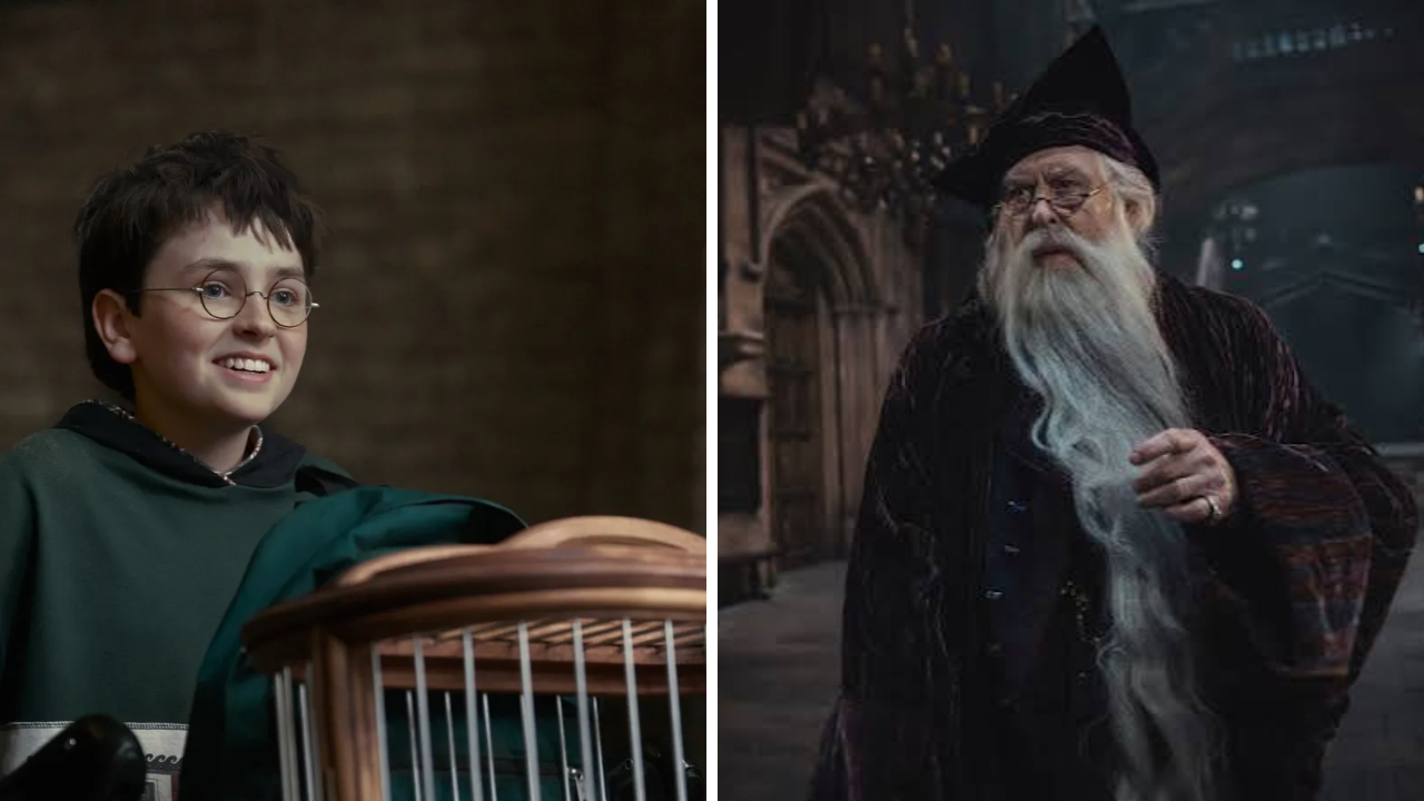 Harry Potter HBO Series