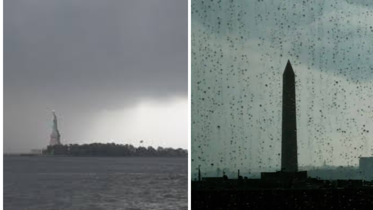 Rare Tornadoes