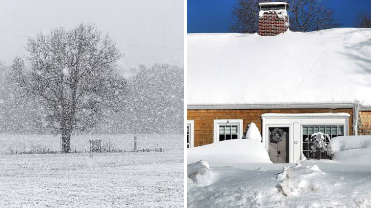 Super El Niño Snow Forecast